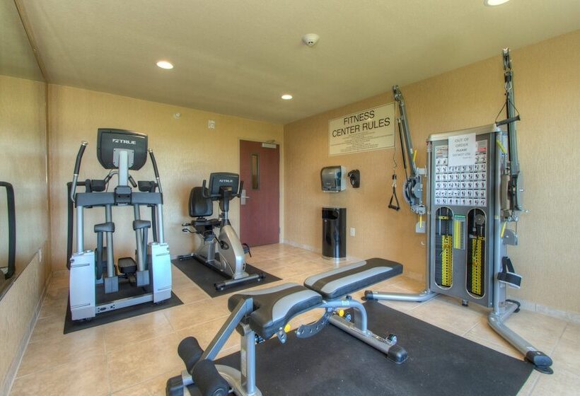 Отель Cobblestone Inn & Suites   Holyoke
