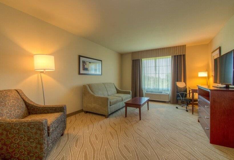 Отель Cobblestone Inn & Suites   Holyoke