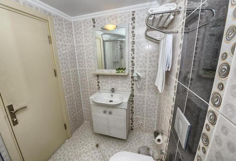 Fotos del hotel Florenta:  18