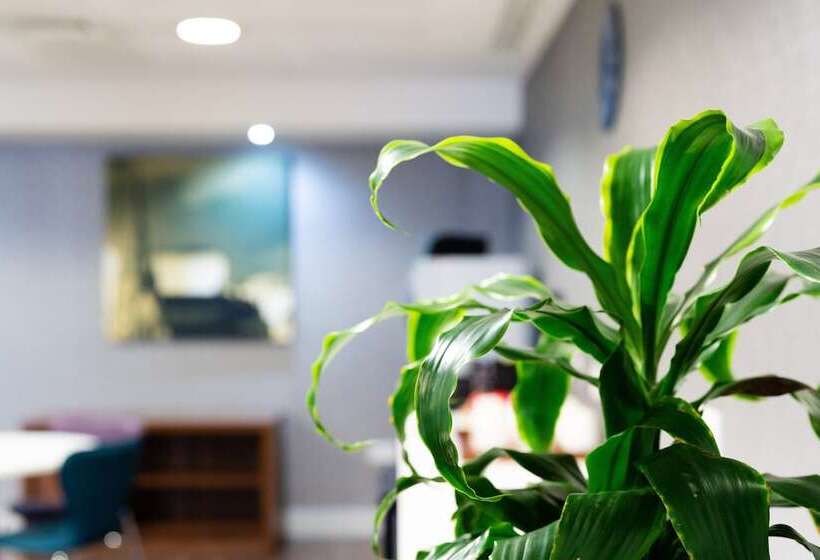 هتل Holiday Inn Express Birmingham   Snow Hill, An Ihg