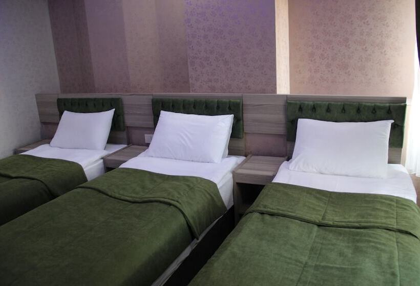 Fotos del hotel Kaya Madrid:  10