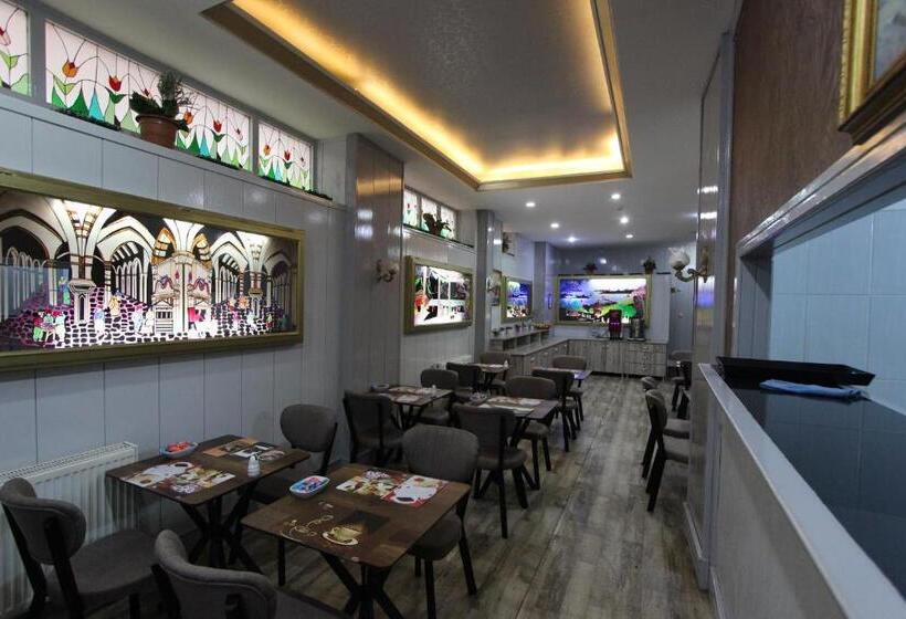 Fotos del hotel Kaya Madrid:  29