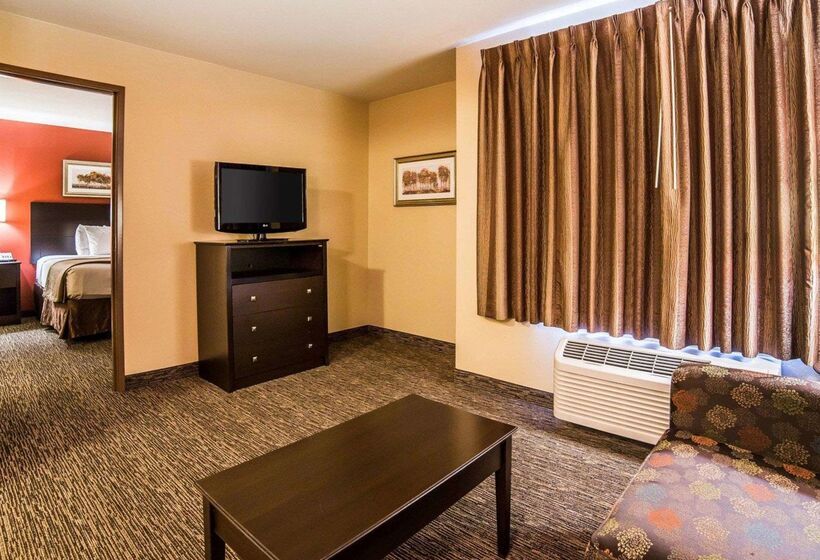 هتل Mainstay Suites Rapid City