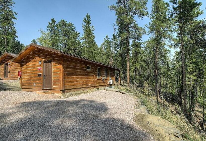 هتل Powder House Lodge