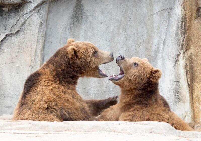 فندق على الطريق Woodfield Inn And Suites