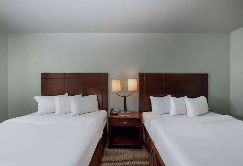 בית מלון כפרי Baymont By Wyndham Rapid City