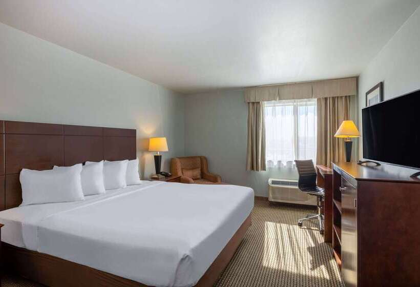 Hotel Baymont By Wyndham Rapid City