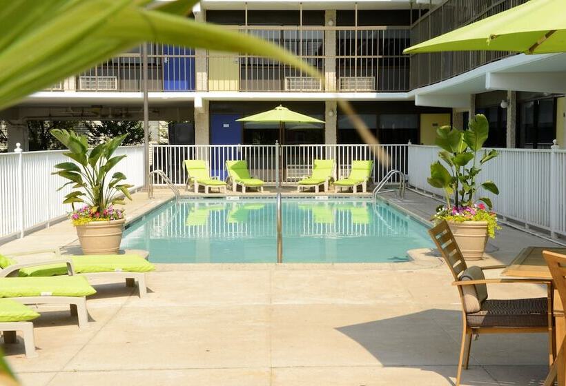 בית מלון כפרי Beach House Dewey