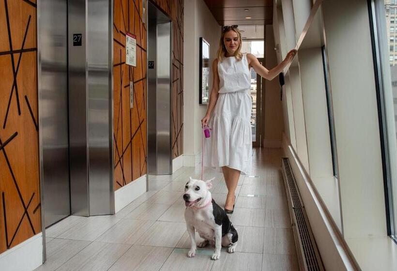 Fotos del hotel Boutique At Grand Central:  25