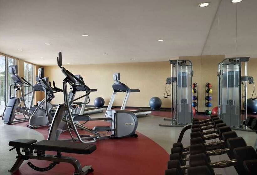 Fotos del hotel Cambria  Miami Airport  Blue Lagoon:  43