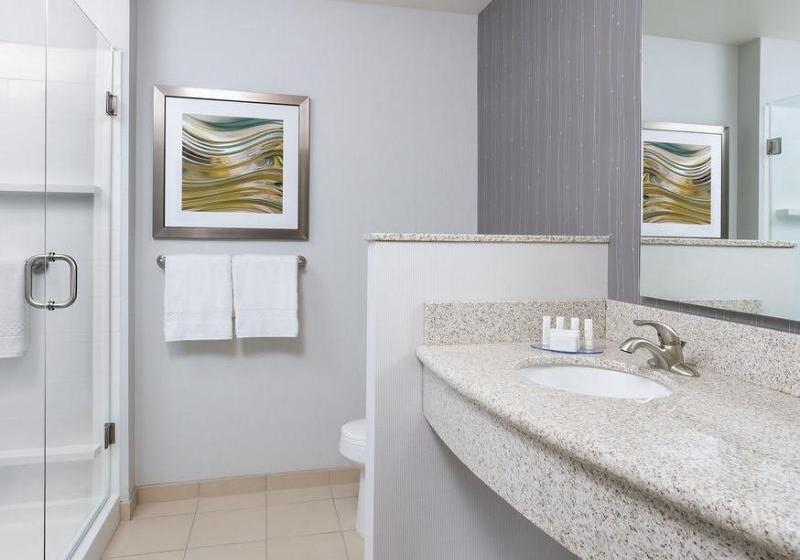 هتل Courtyard By Marriott Kalamazoo Portage