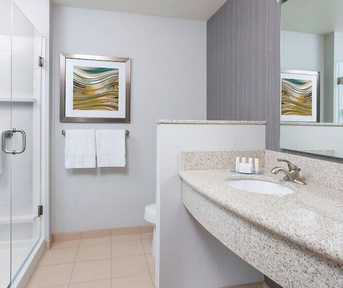 هتل Courtyard By Marriott Kalamazoo Portage