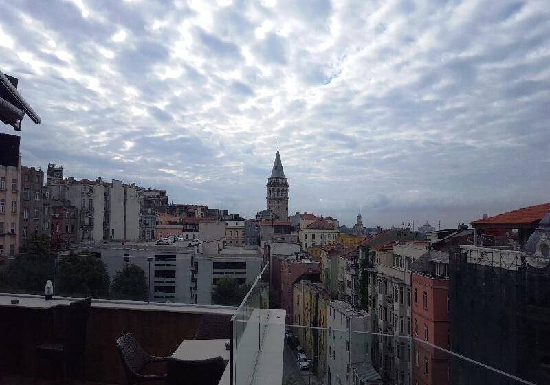 Fotos del hotel Daru Sultan S Galata:  43