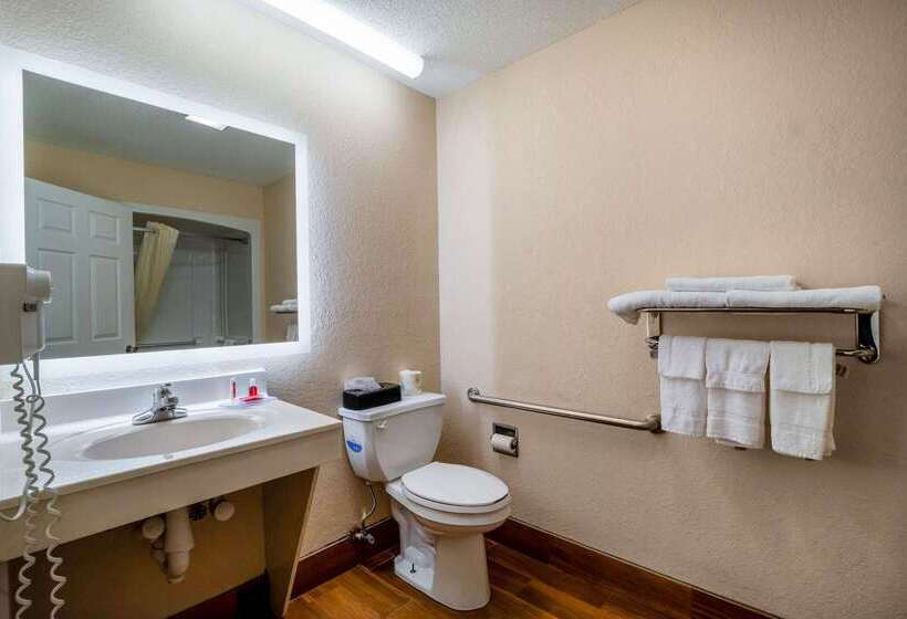 فندق Econo Lodge Inn & Suites Cayce I 26 Airport