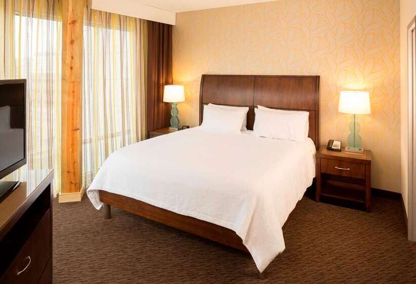 هتل Hilton Garden Inn Sioux Falls Downtown