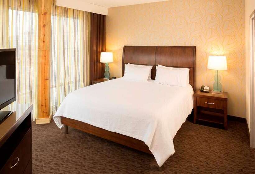 Hotel Hilton Garden Inn Sioux Falls Downtown