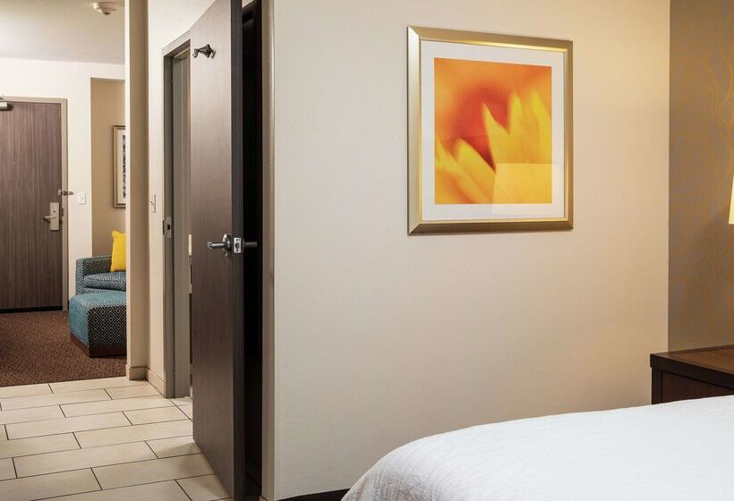 هتل Hilton Garden Inn Sioux Falls Downtown
