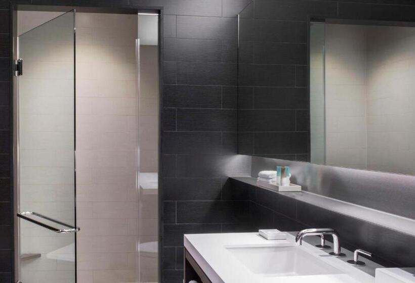 Fotos del hotel Hyatt Centric Times Square New York:  66