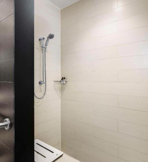 酒店 Hyatt Centric Times Square New York