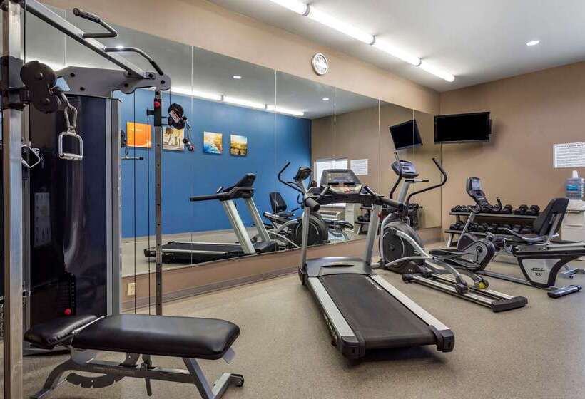 호텔 Comfort Inn & Suites