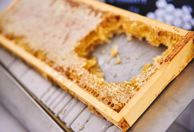 Fotos del hotel Maxx By Steigenberger Vienna:  10