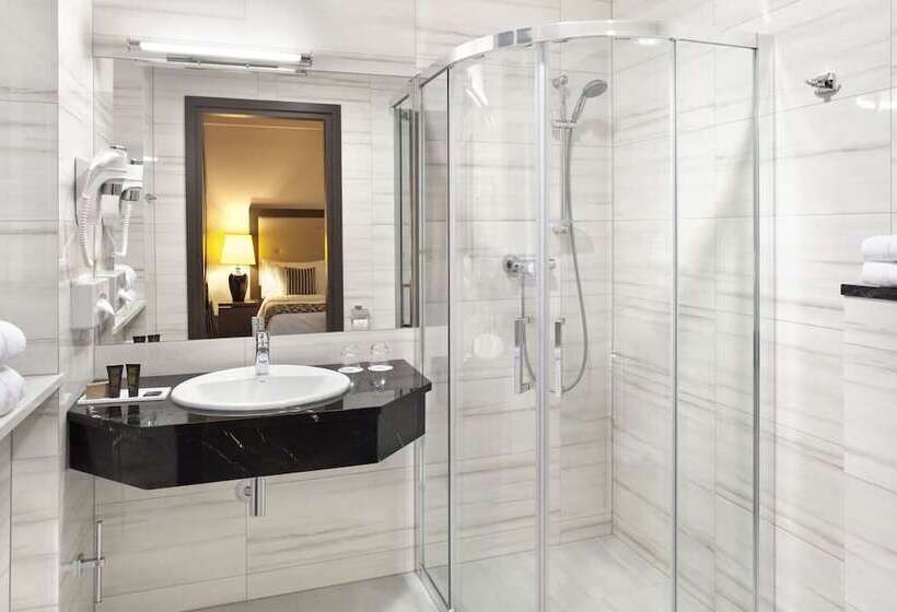 Fotos del hotel Metropolitan Boutique:  13