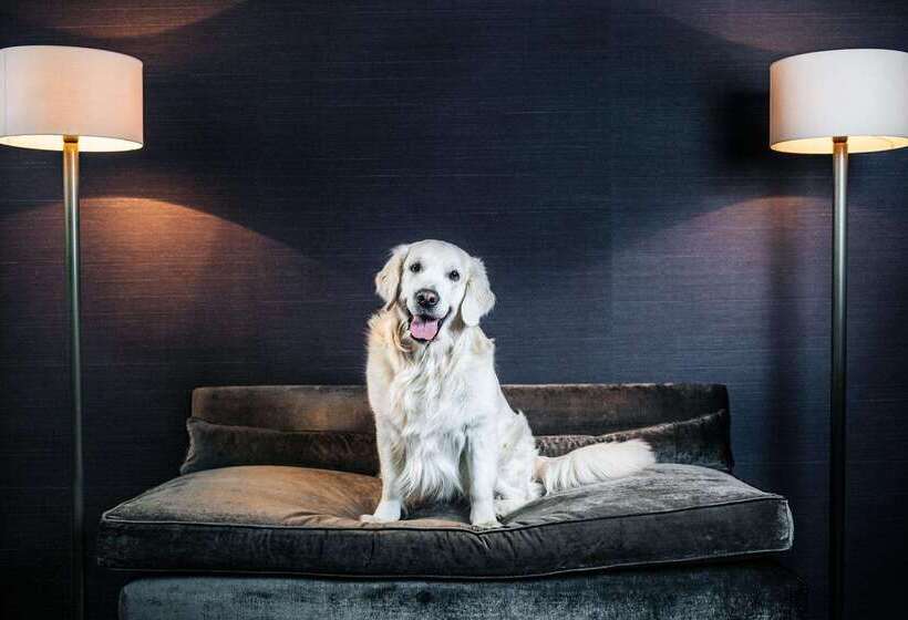 Fotos del hotel The Emblem:  3