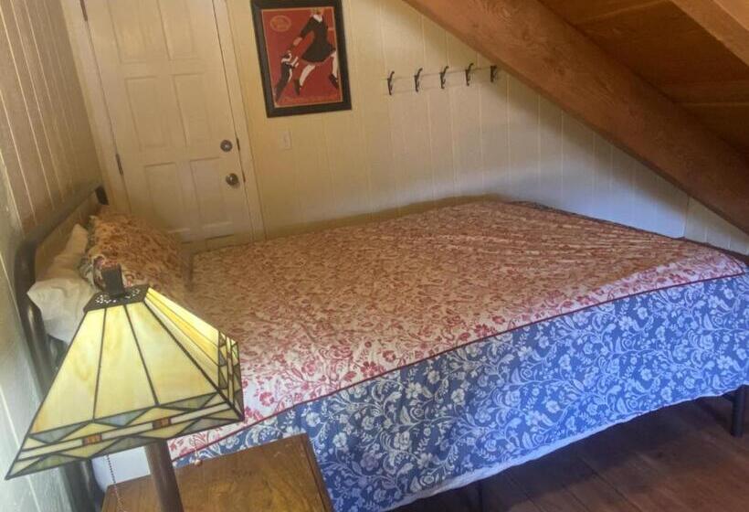 هتل The Viking Lodge   Downtown Winter Park Colorado