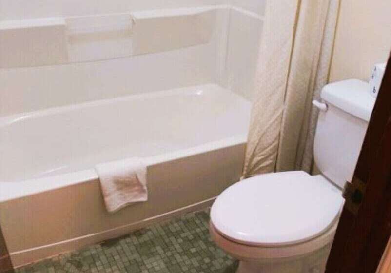 فندق على الطريق Holiday Lodge Virginia