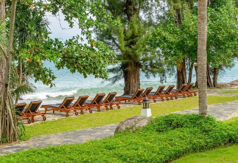 Tui Blue Khao Lak Resort   Adults Only