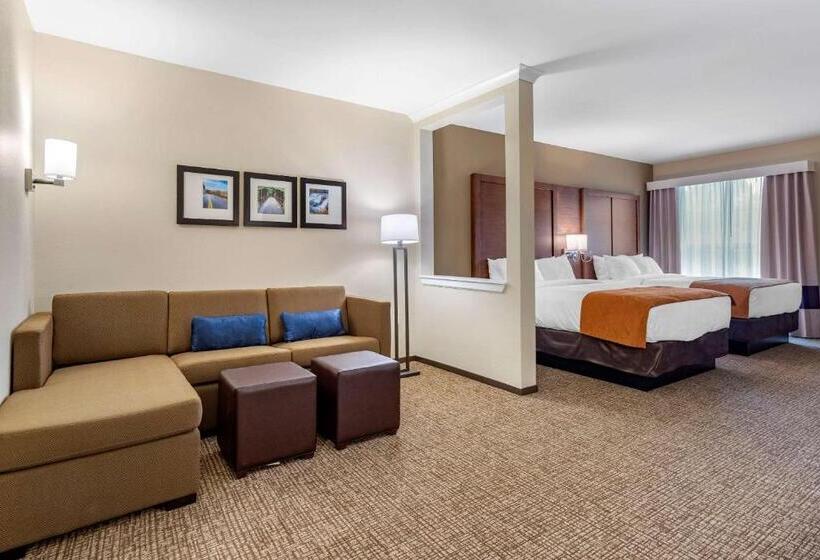 Отель Comfort Suites