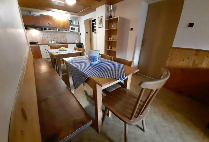 پانسیون Ubytování 113