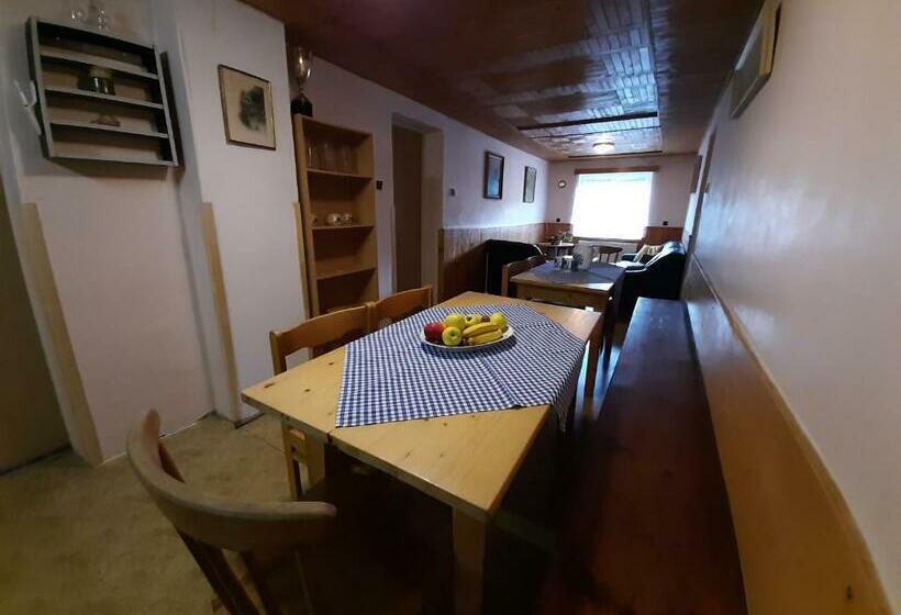 پانسیون Ubytování 113