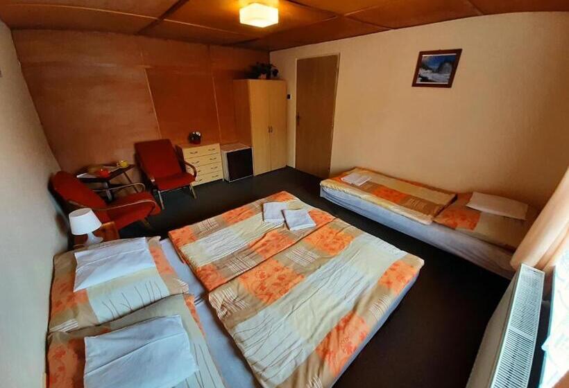 پانسیون Ubytování 113