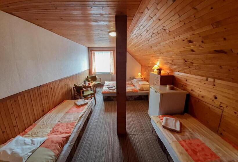 پانسیون Ubytování 113