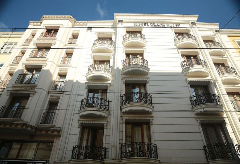 Fotos del hotel Black Tulip:  18