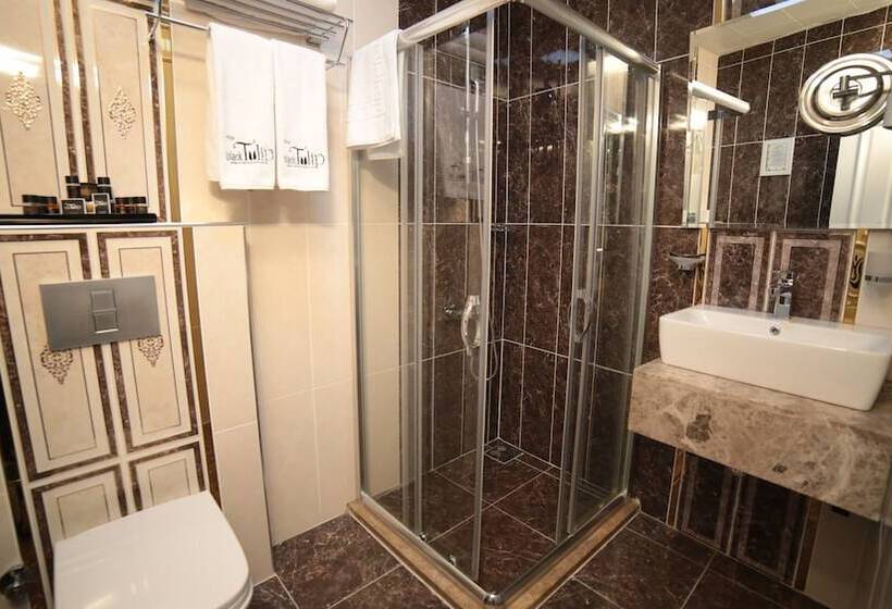 Fotos del hotel Black Tulip:  29