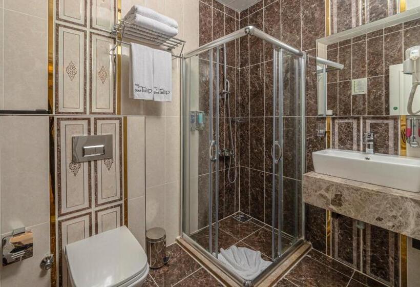 Fotos del hotel Black Tulip:  43