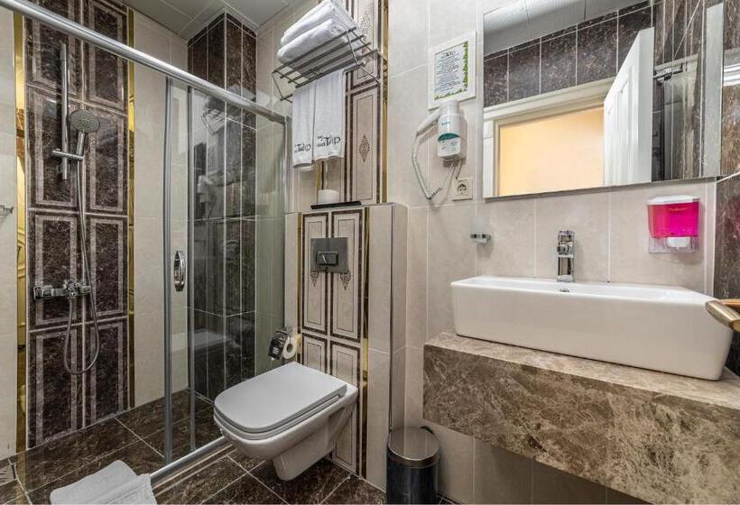 Fotos del hotel Black Tulip:  24