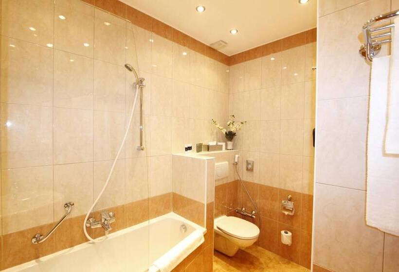 Fotos del hotel Corvinus:  10