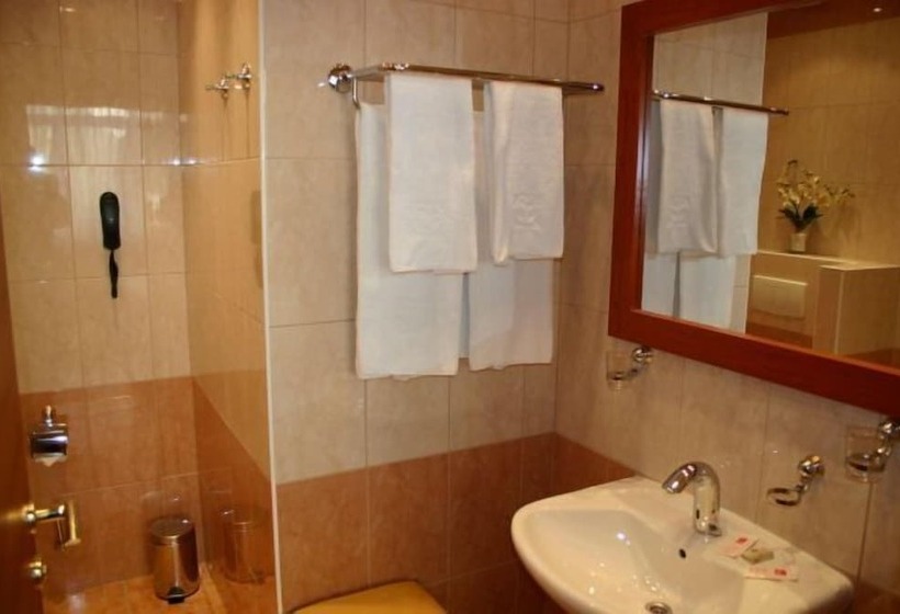 Fotos del hotel Corvinus:  12