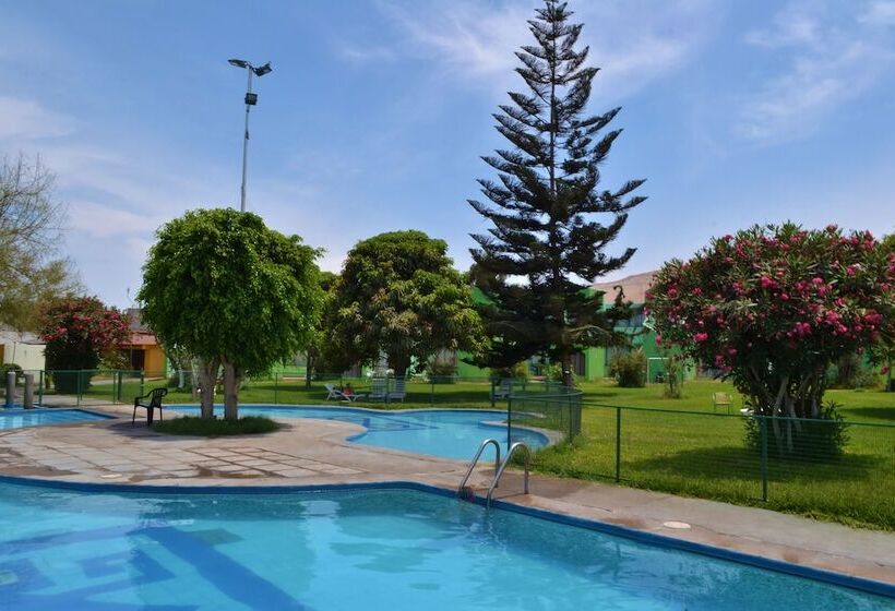 هتل Del Valle Azapa
