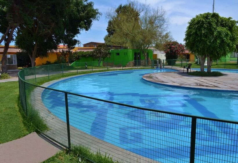 هتل Del Valle Azapa