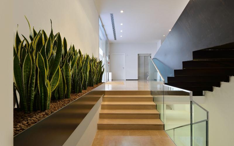 Fotos del hotel Rome Life:  45