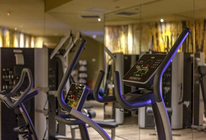 Fotos del hotel Sb Plaza Europa:  64