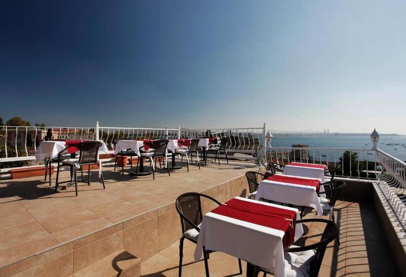 Fotos del hotel Spinel:  24