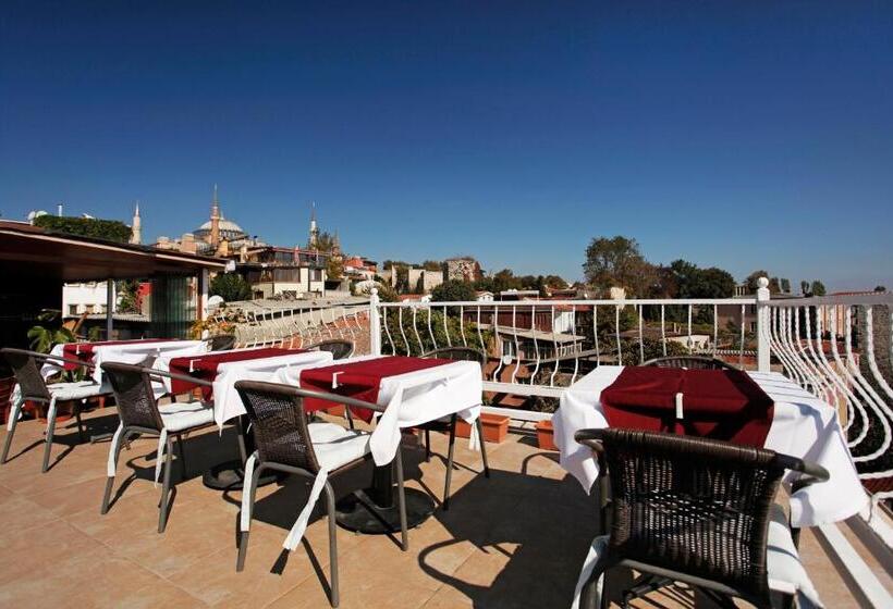 Fotos del hotel Spinel:  16