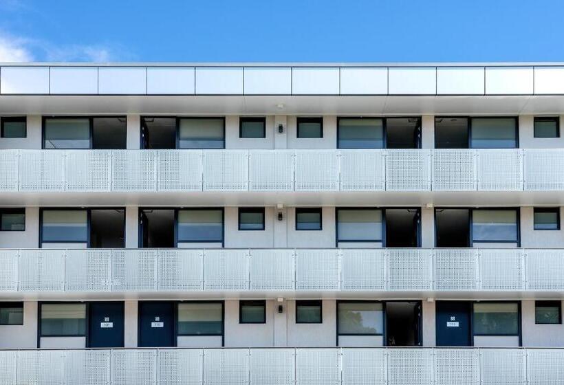 مُتل The Mid Pacific