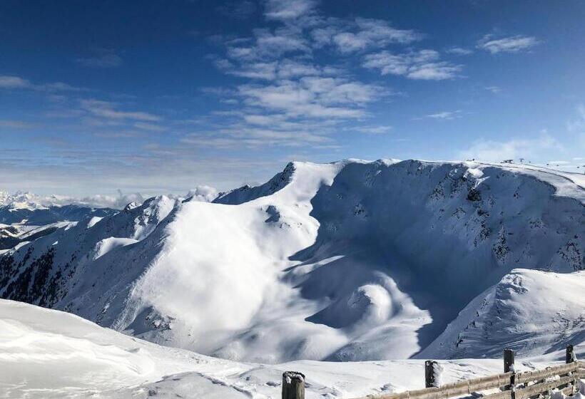 住宿加早餐  Mountain Residence Alpenhof   Company Hotel Alpenhof Kg Sas Der Gasser Renate
