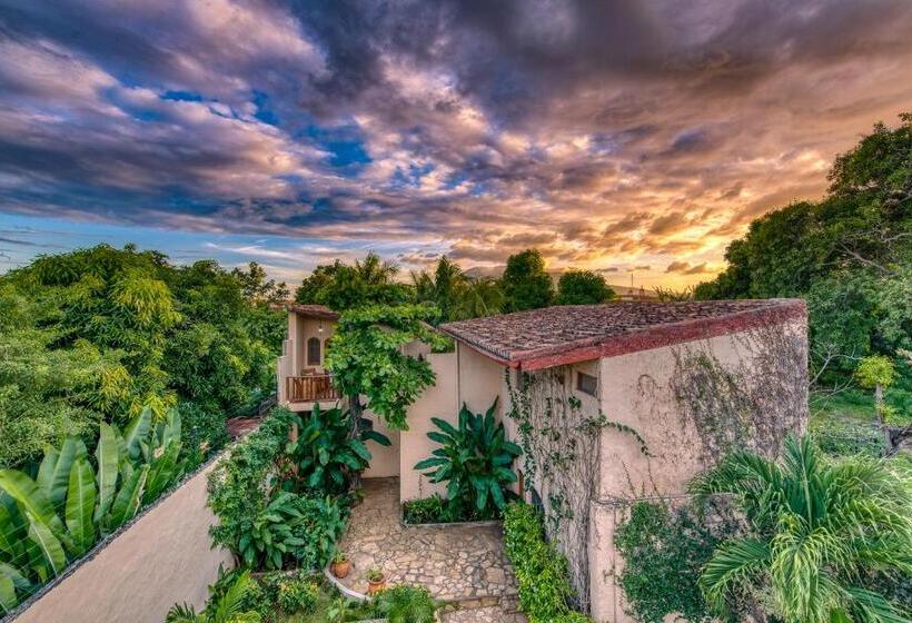 Boutique Hotel Secret Garden Granada